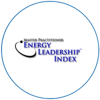 energy leadership index logo