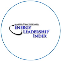 Energy Leadership Index